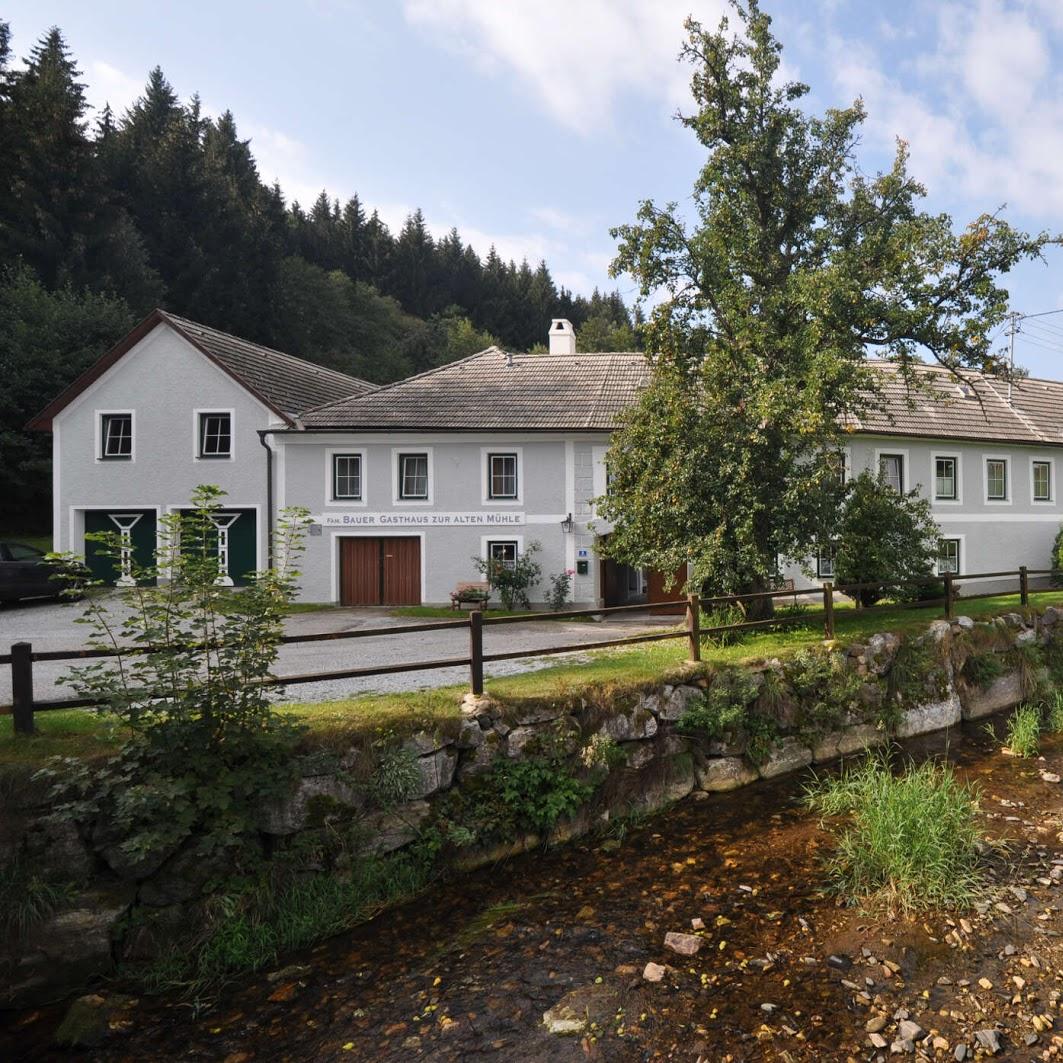 Restaurant "Monika Bauer Gasthaus „Zur Alten Mühle“" in Kottes