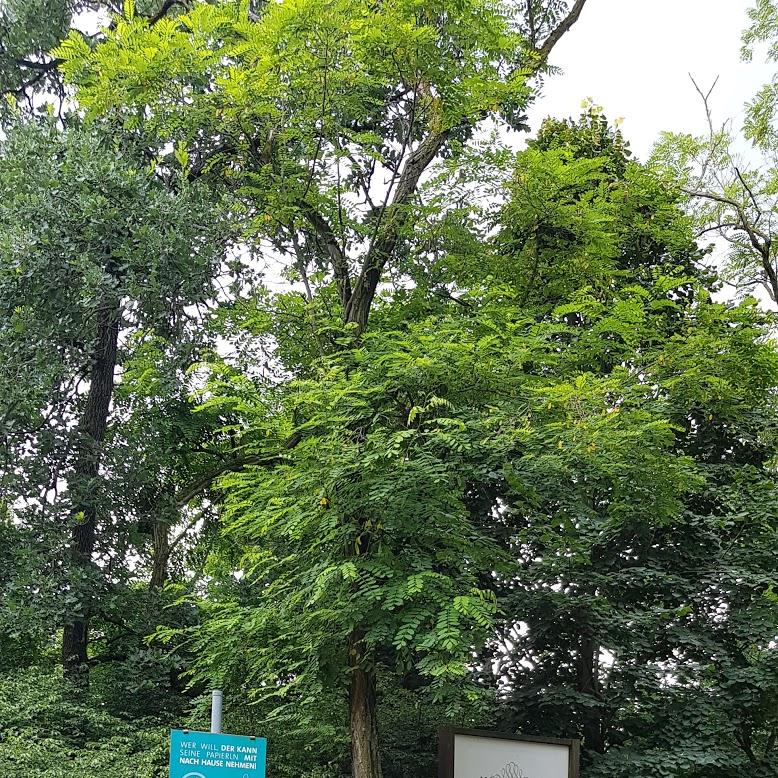 Restaurant "Rotes Kreuz" in Kleinwetzdorf