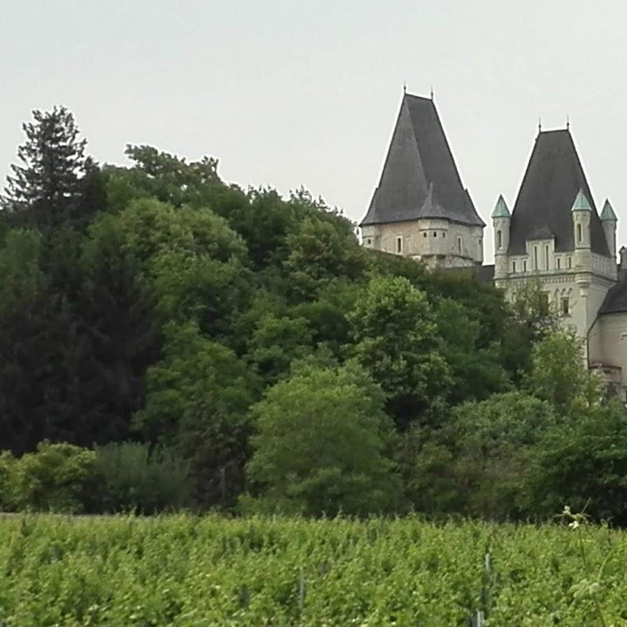 Restaurant "Gasthof zur Weintraube" in Maissau