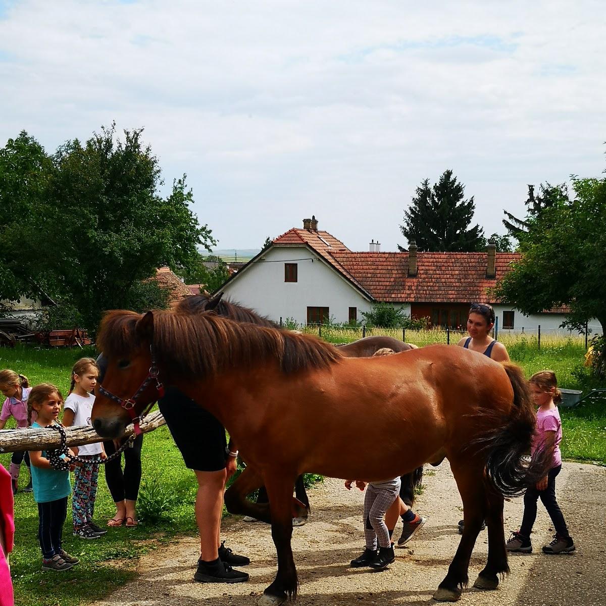 Restaurant "Winzerhof Krottendorfer" in Straning