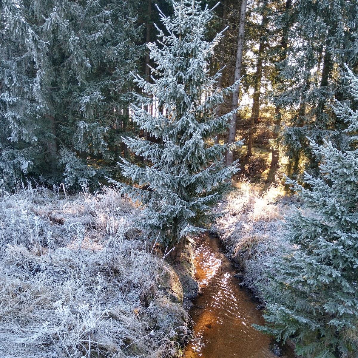 Restaurant "Simone Binder e.U." in Langschlägerwald