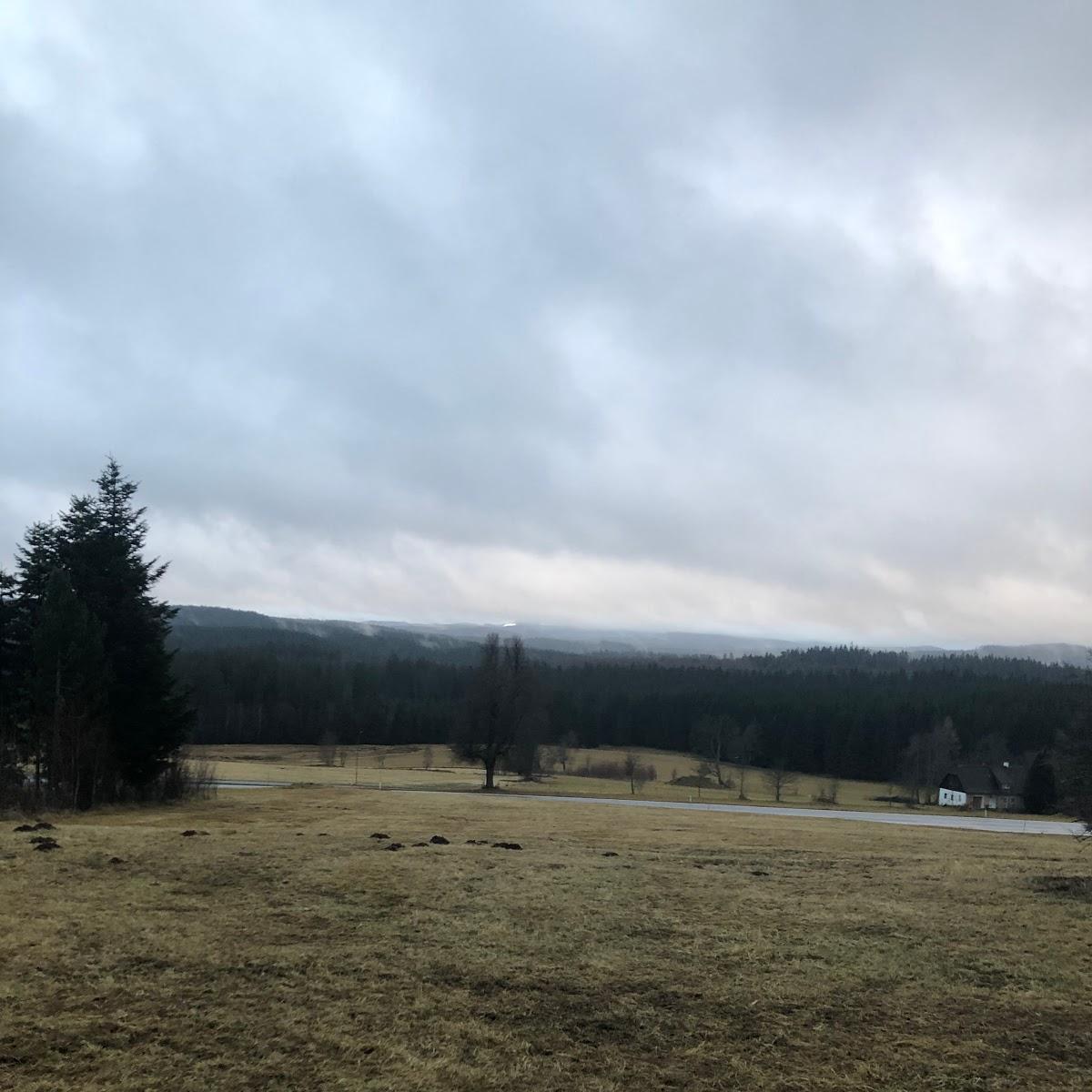 Restaurant "Pension Steinwandhütte" in Karlstift
