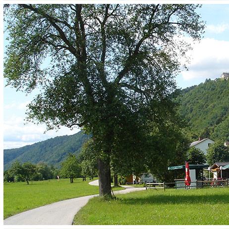 Restaurant "er Stüberl" in Freizell