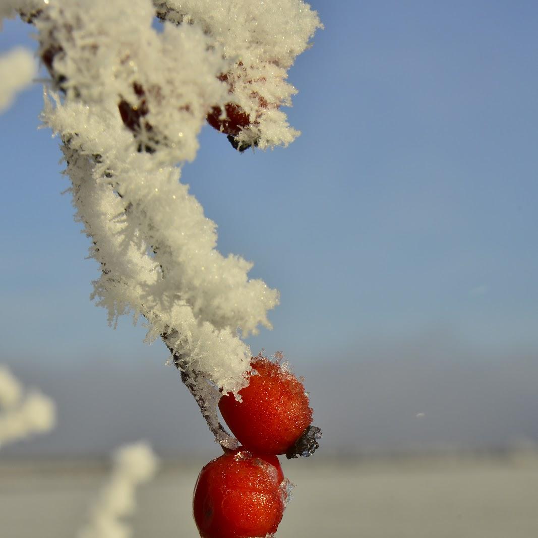 Restaurant "Landgasthaus Brunngraber" in Sankt Peter