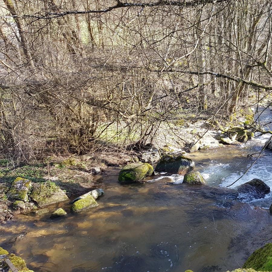Restaurant "Kratschmayrs Fischerhütte" in Alberndorf in der Riedmark