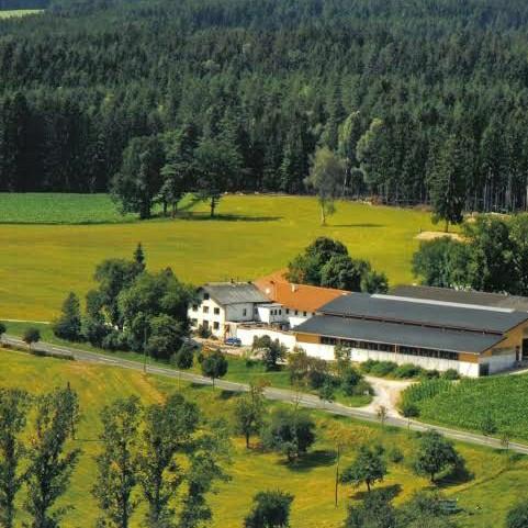 Restaurant "Gasthaus Größling" in Freistadt