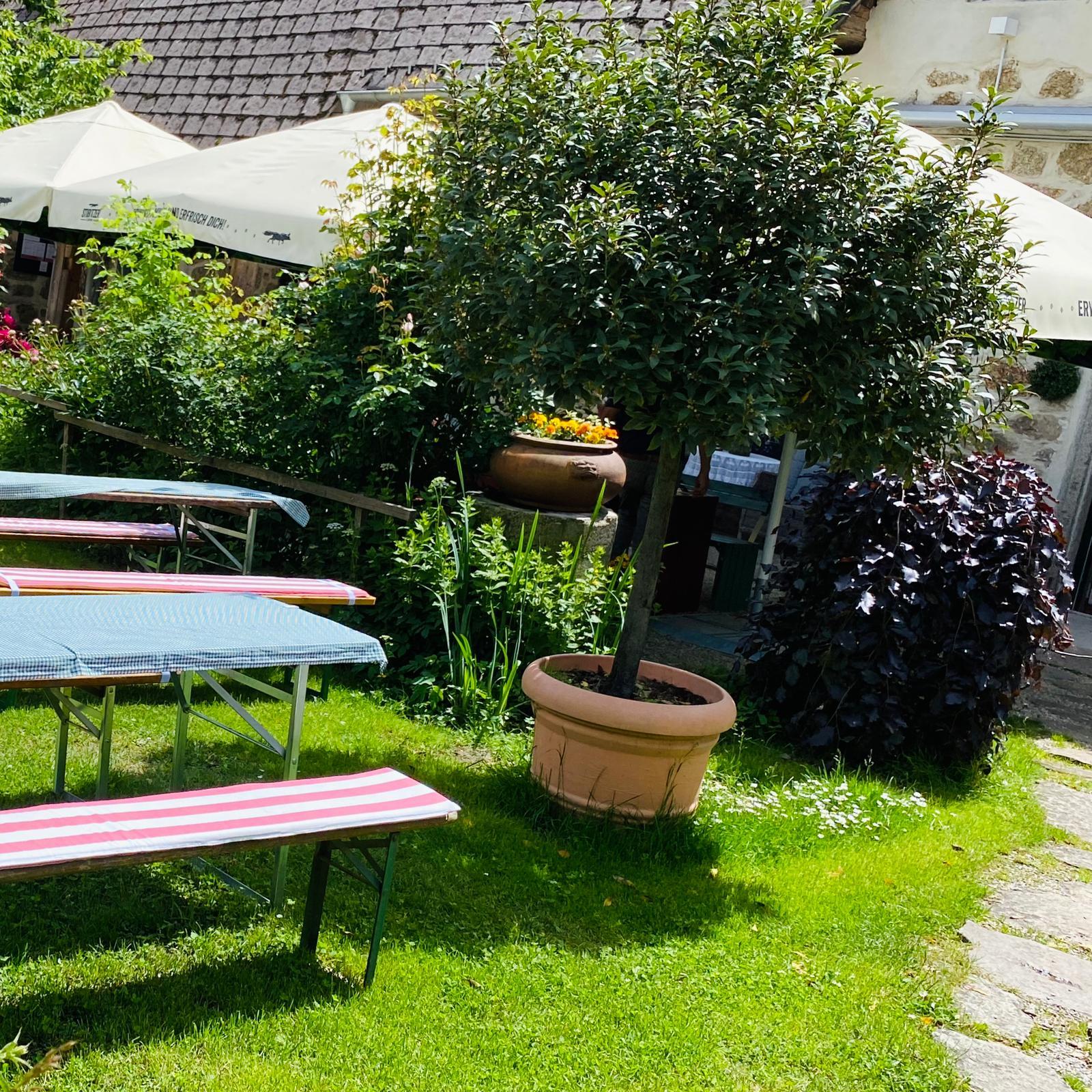 Restaurant "Burgschenke" in Klam bei Grein