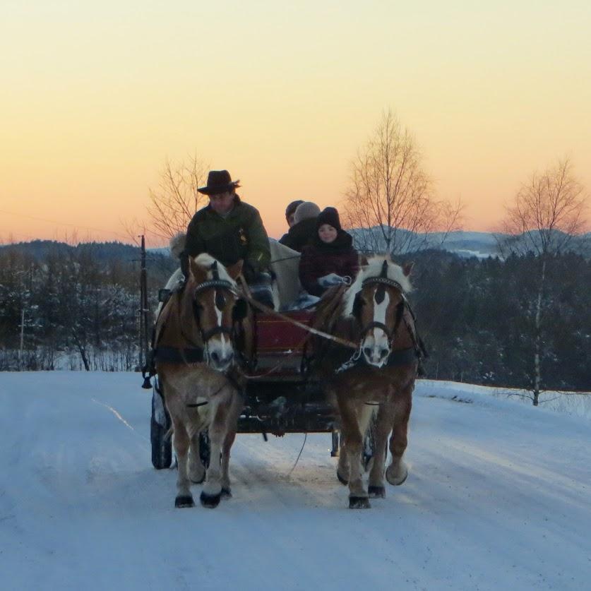 Restaurant "Georgs Kutscher Hof" in Sankt Georgen am Walde