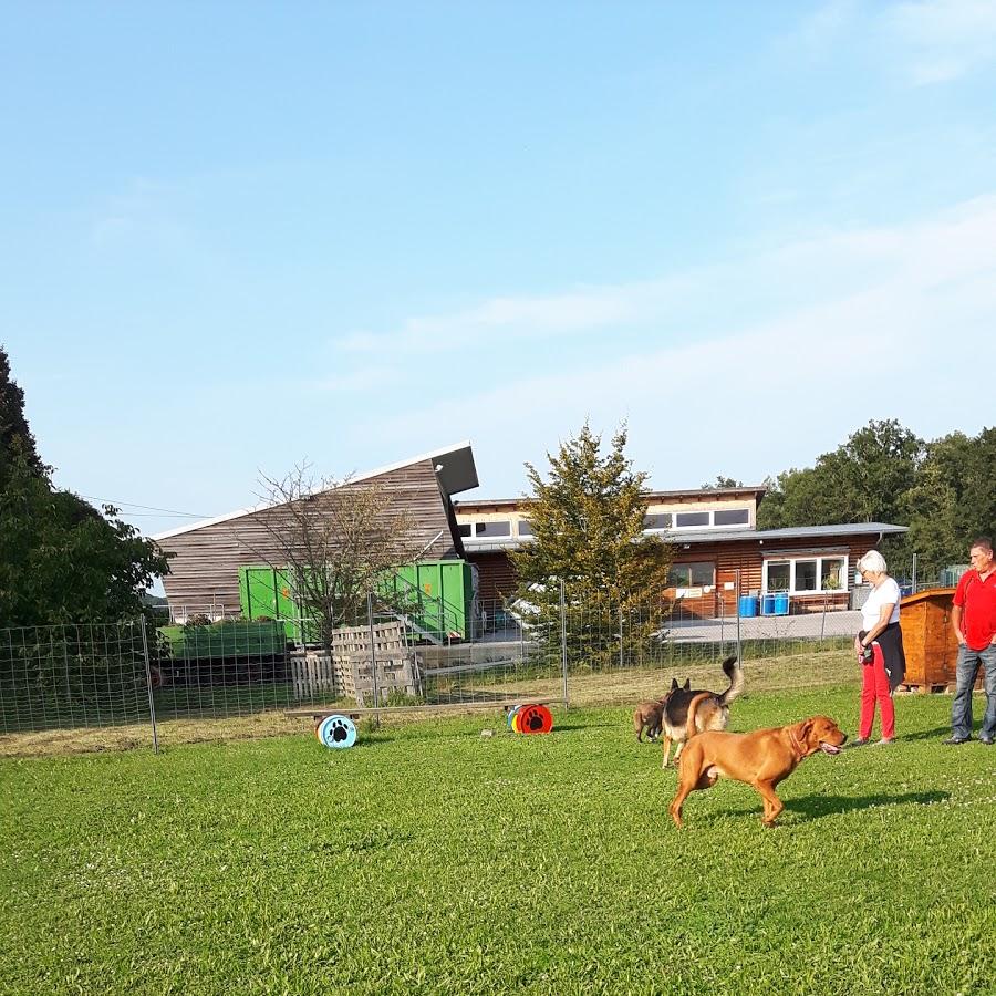 Restaurant "SIKI KG" in Kronstorf