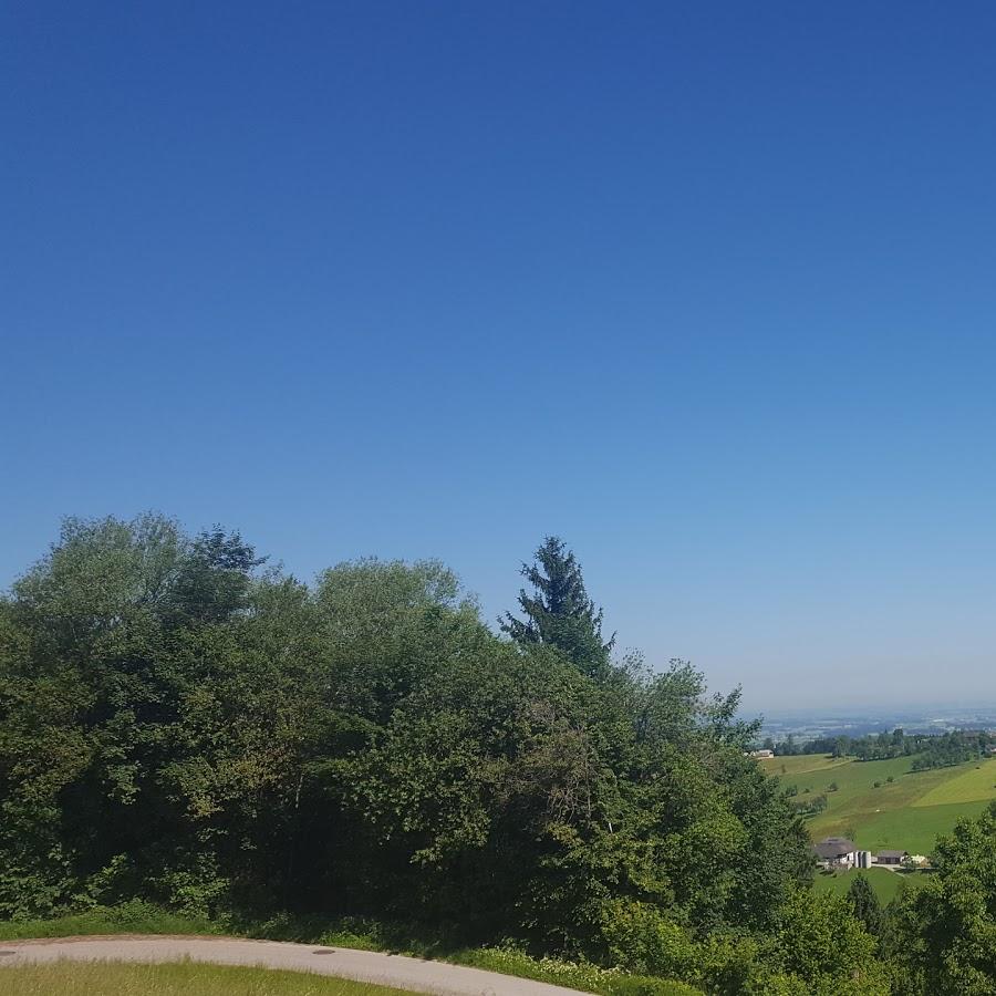 Restaurant "Gasthaus Beer" in Inzersdorf im Kremstal
