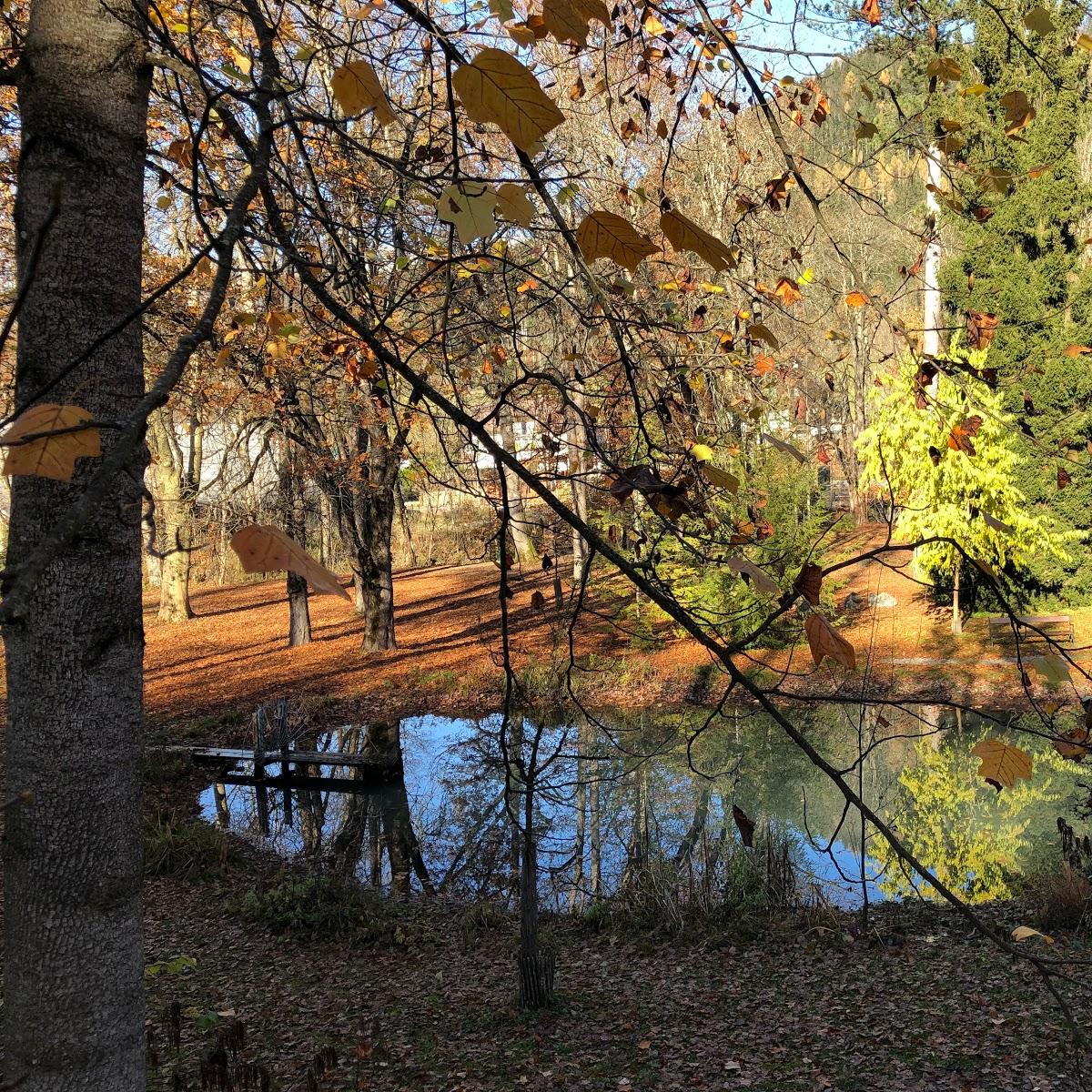 Restaurant "Windischgarsten" in Roßleithen