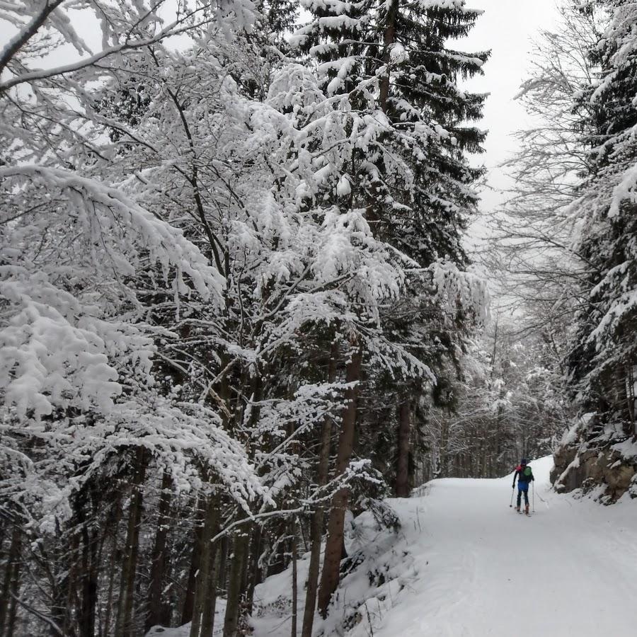 Restaurant "Gasthaus Jagerspitz" in Grünau im Almtal