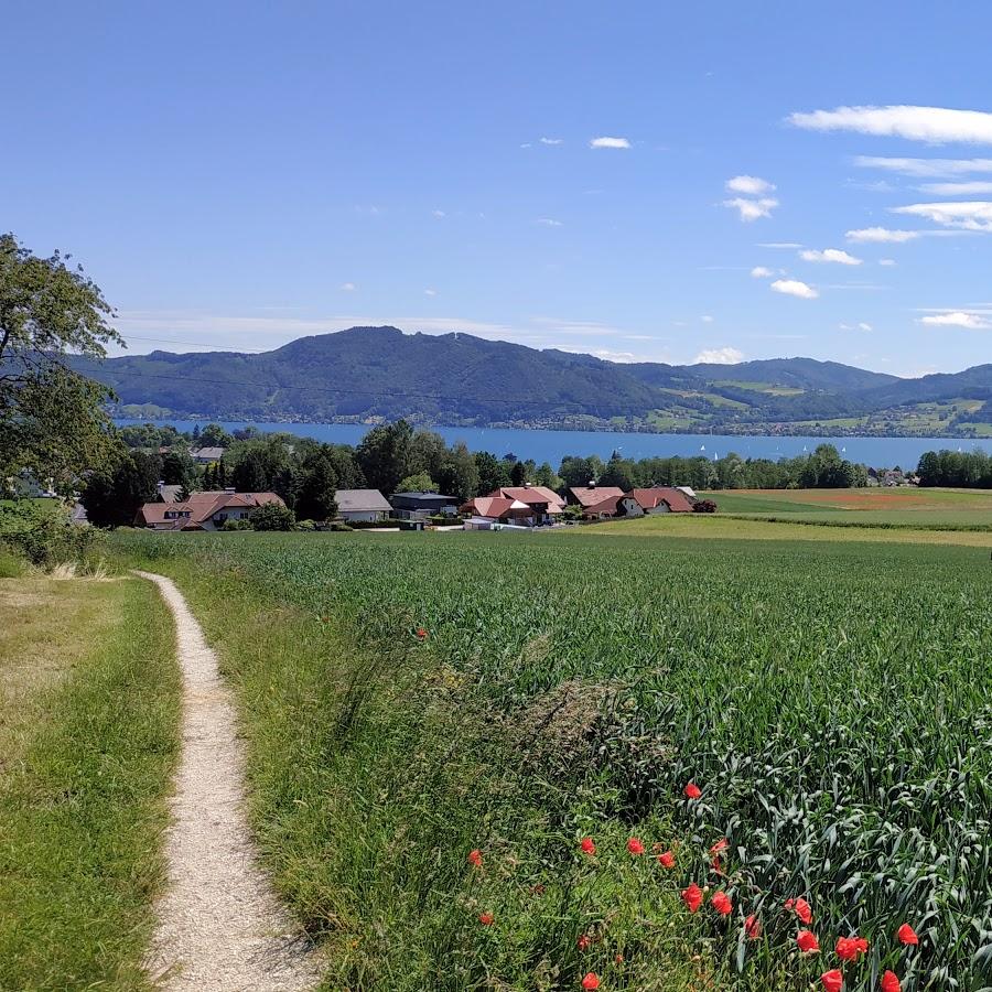 Restaurant "Hotel Hemetsberger in Abtsdorf am Attersee" in Attersee am Attersee