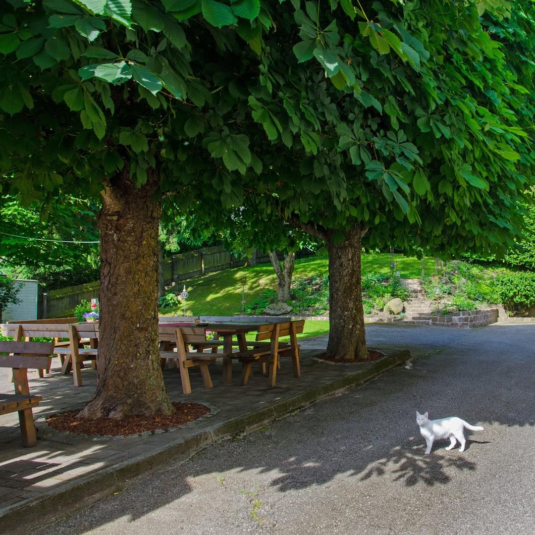 Restaurant "Gasthaus z Auerhahn" in Frankenburg am Hausruck