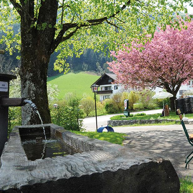 Restaurant "Gasthof Fohlenhof" in Hof