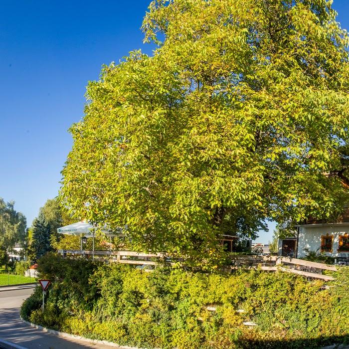 Restaurant "Hotel Königgut" in Wals