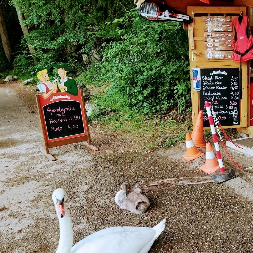 Restaurant "Waldbad Fürberg - Buffet & Badekiosk" in Sankt Gilgen