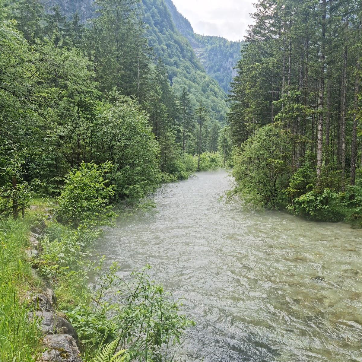 Restaurant "Gasthaus Bärenhof" in Golling an der Salzach