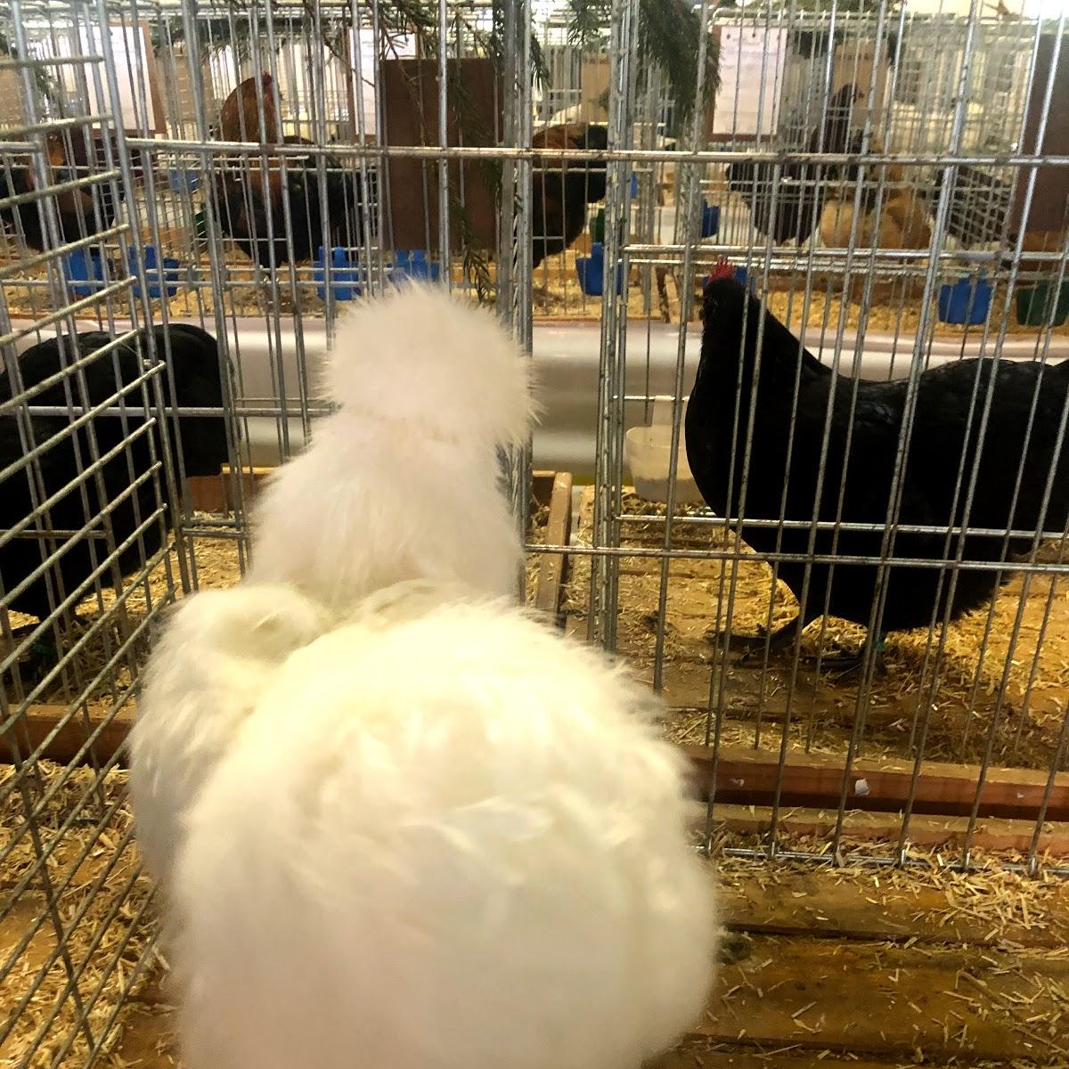 Restaurant "Schützenhaus" in Berßel