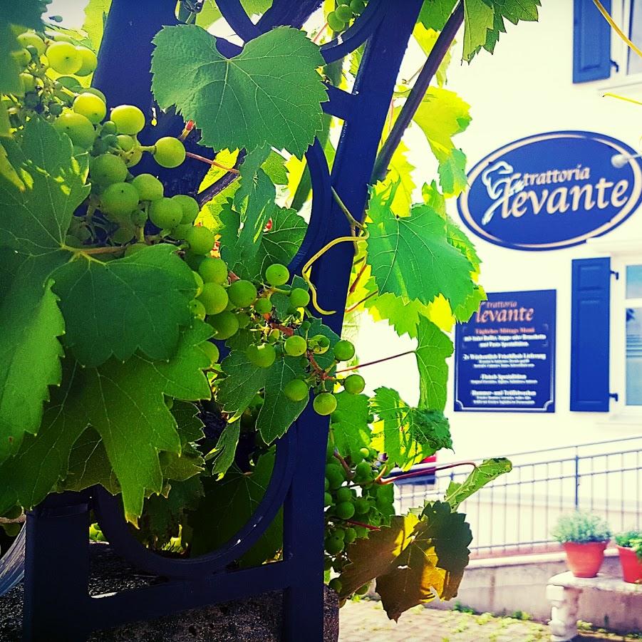 Restaurant "TRATTORIA LEVANTE" in Kirchbichl