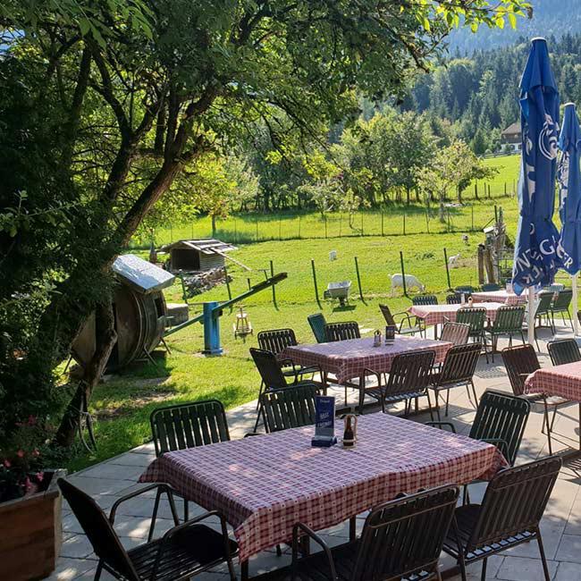Restaurant "Alpengasthof Schneeberg" in Thiersee
