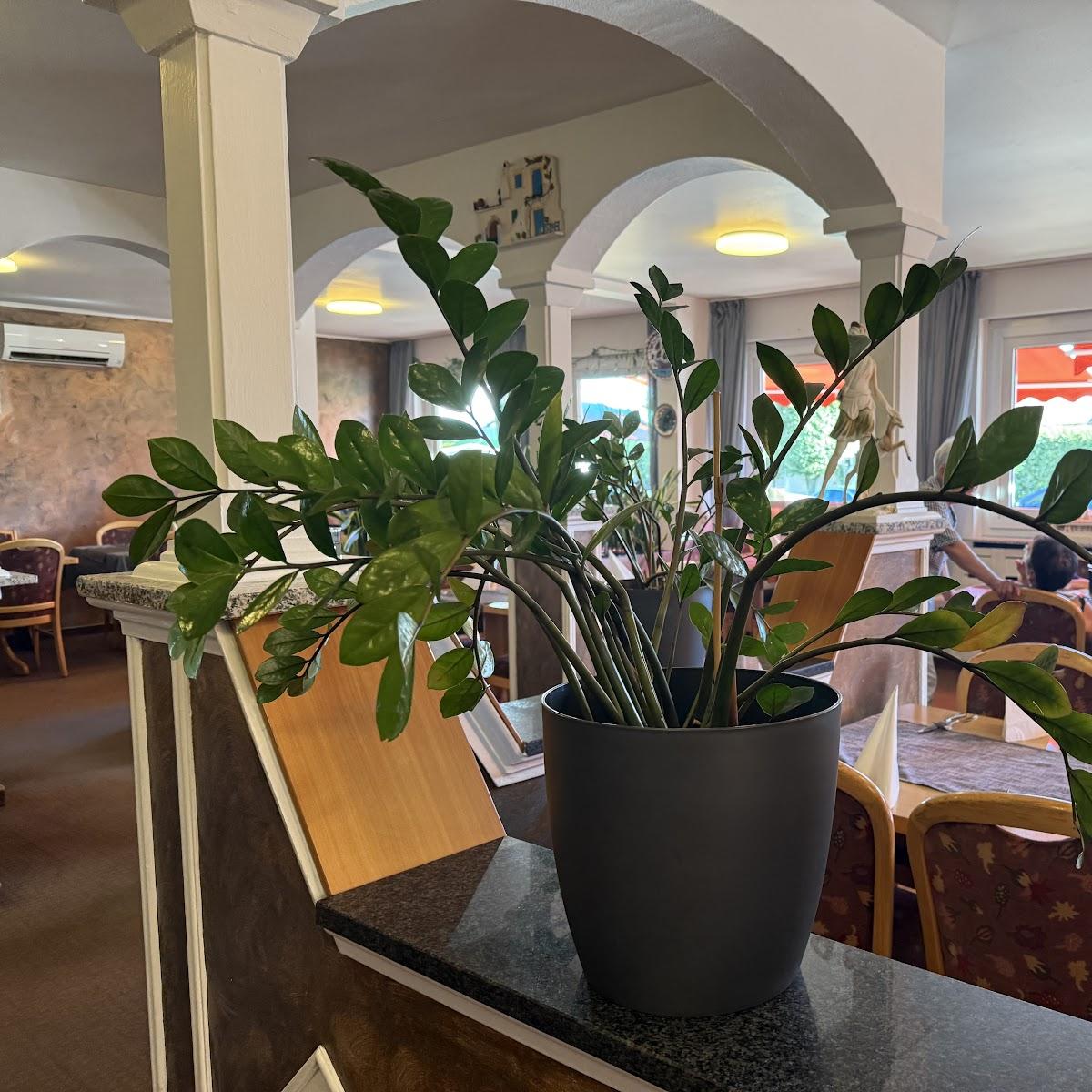 Restaurant "Restaurant Rhodos" in Bellheim