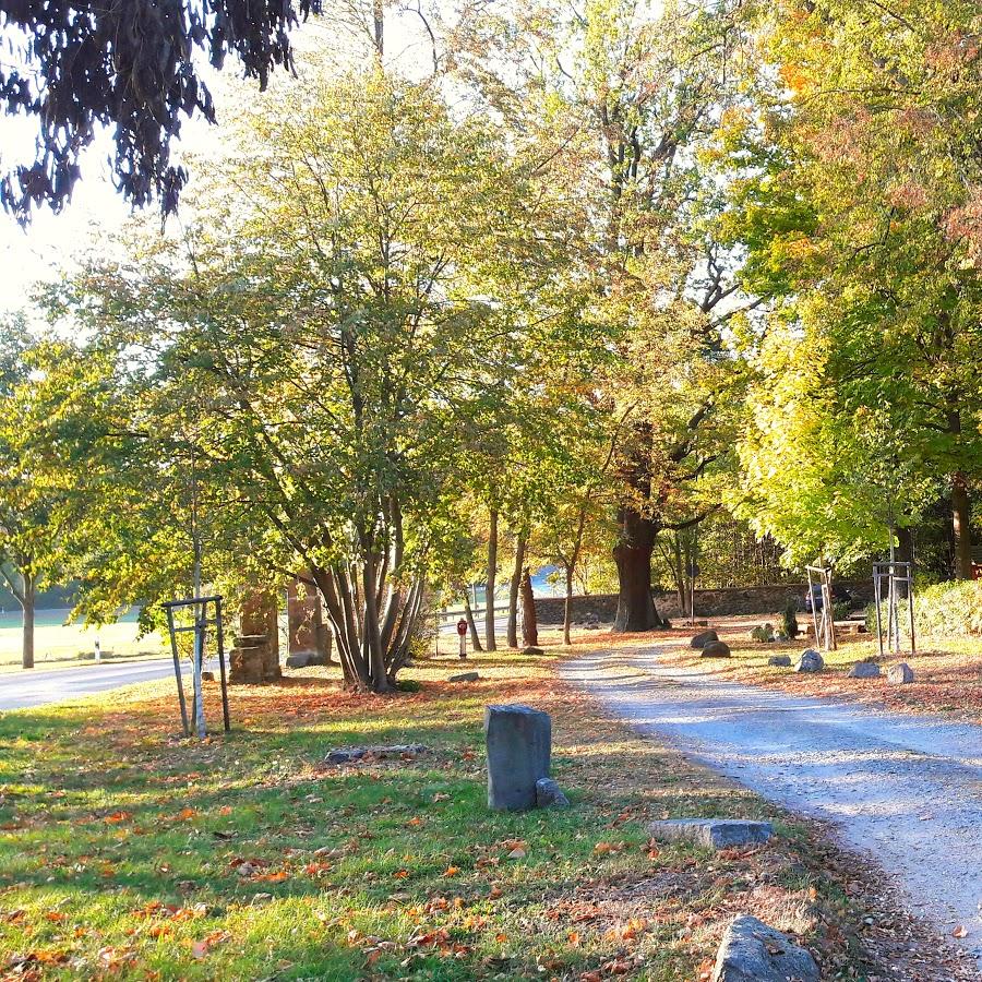 Restaurant "Gaststätte Zum Waldfrieden" in Laußnitz