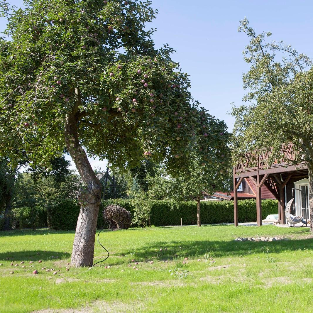 Restaurant "Bio - Hotel Kolonieschänke Burg-Spreewald" in Burg (Spreewald)
