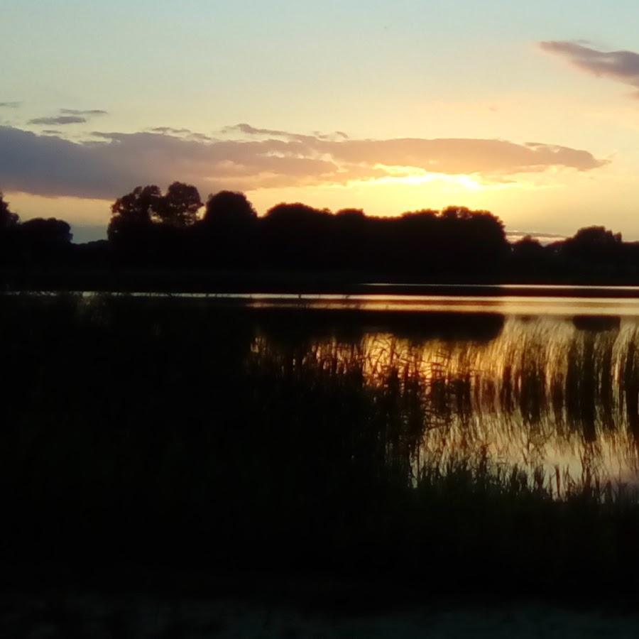 Restaurant "Möwe S Ferienpark am Schloßsee Inh. Ilona Nimz" in Penkun