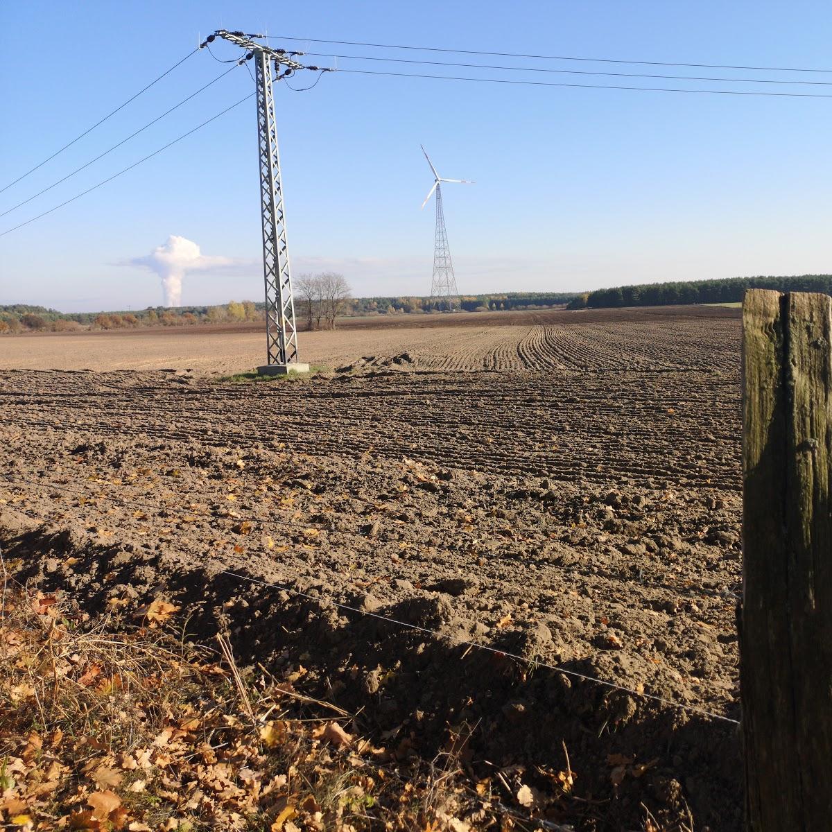 Restaurant "Zur alten Tischlerei - Getränkeservice und Gaststätte" in Vetschau-Spreewald