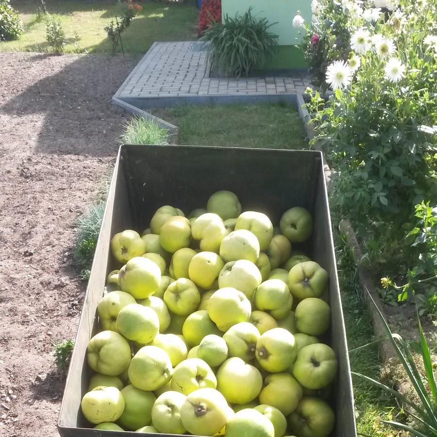 Restaurant "Spartenheim Frohes Schaffen" in Herzberg (Elster)