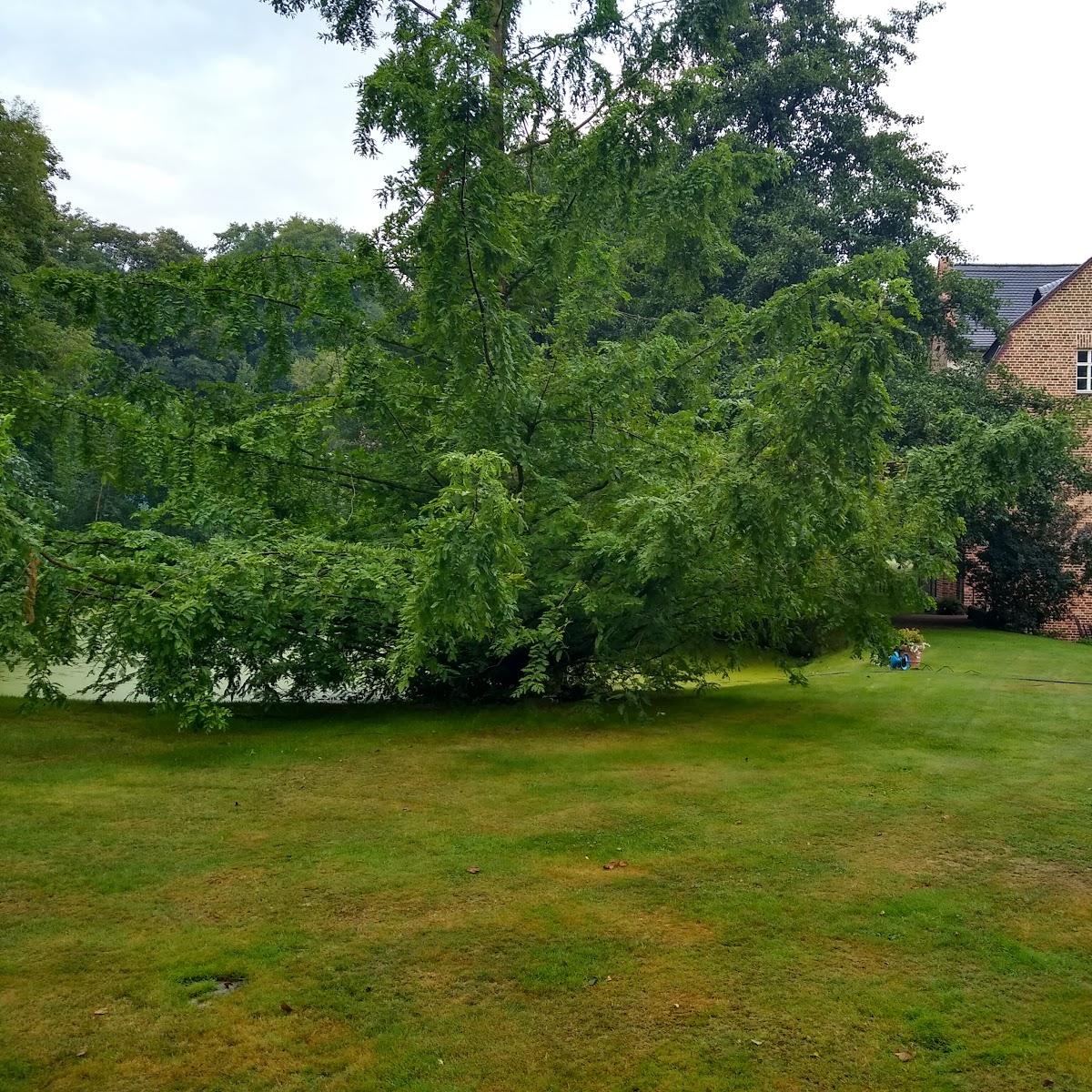 Restaurant "Pension  Zur Mühle " in Schlieben
