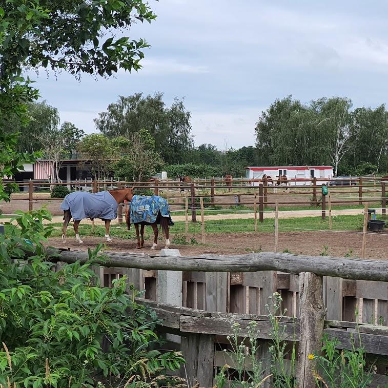 Restaurant "Gut Seeburg am Champagnerberg Polo & Country Club" in Dallgow-Döberitz - OT Seeburg