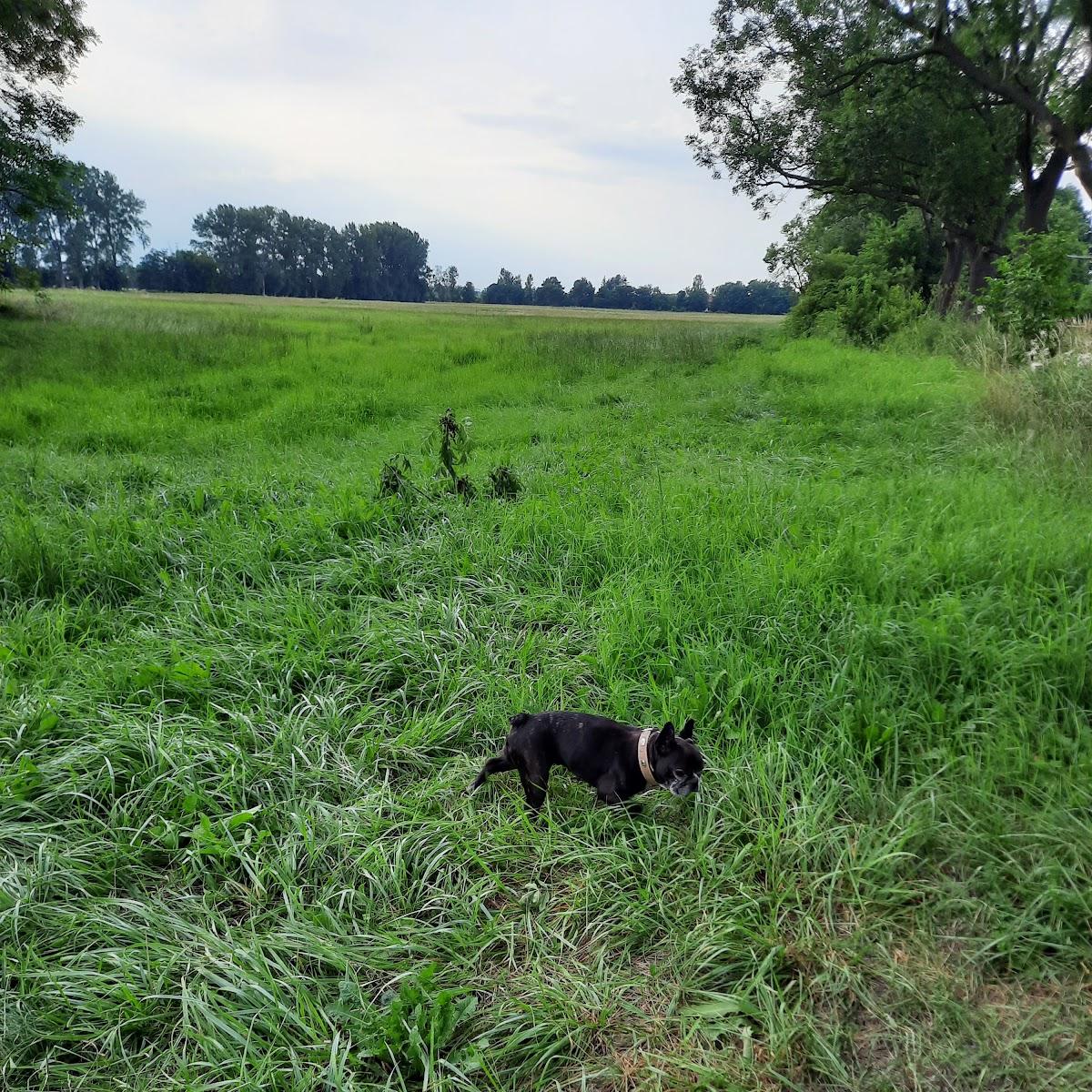 Restaurant "OSSI DÖNER" in Kremmen