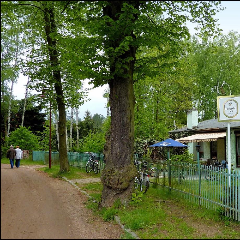 Restaurant "Gasthaus er Krug" in Melchow