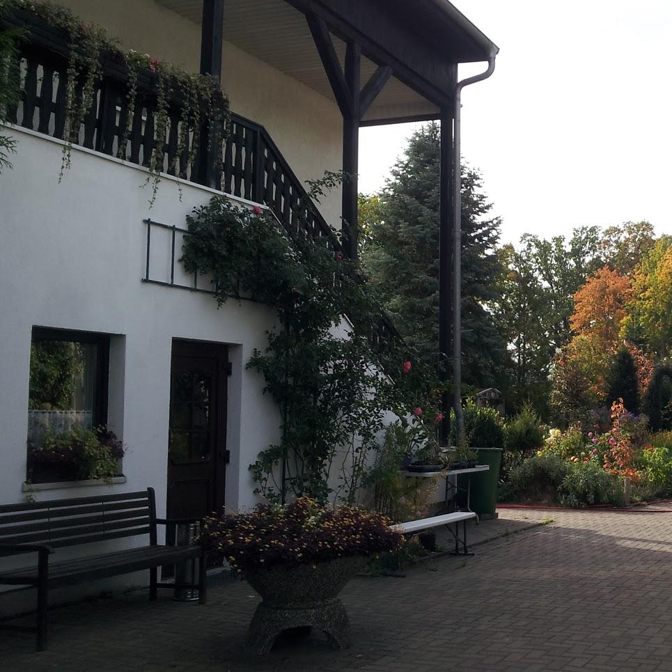 Restaurant "Gasthof und Pension Palmenhof" in Leegebruch