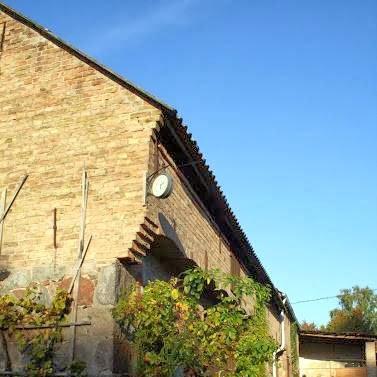 Restaurant "Seeligs Gast- und Logierhaus" in Stechlin