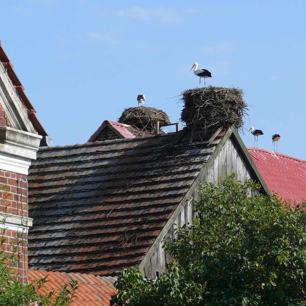 Restaurant "Landhotel Storchenkrug" in Rühstädt