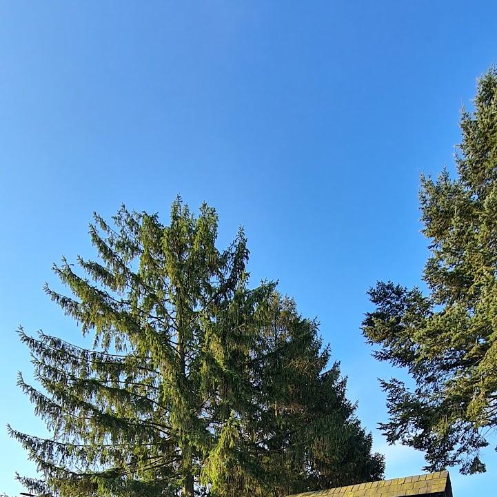 Restaurant "Hotel Zum braunen Hirsch" in Wittenberge
