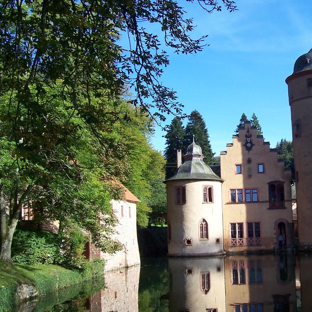 Restaurant "Hotel Zum Engel" in  Mespelbrunn