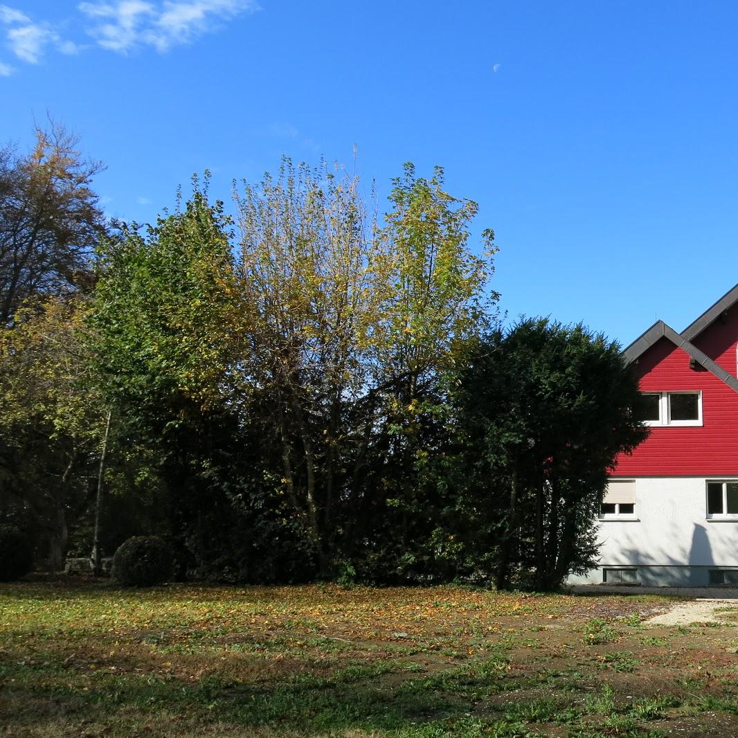 Restaurant "Harpprechthaus" in Lenningen