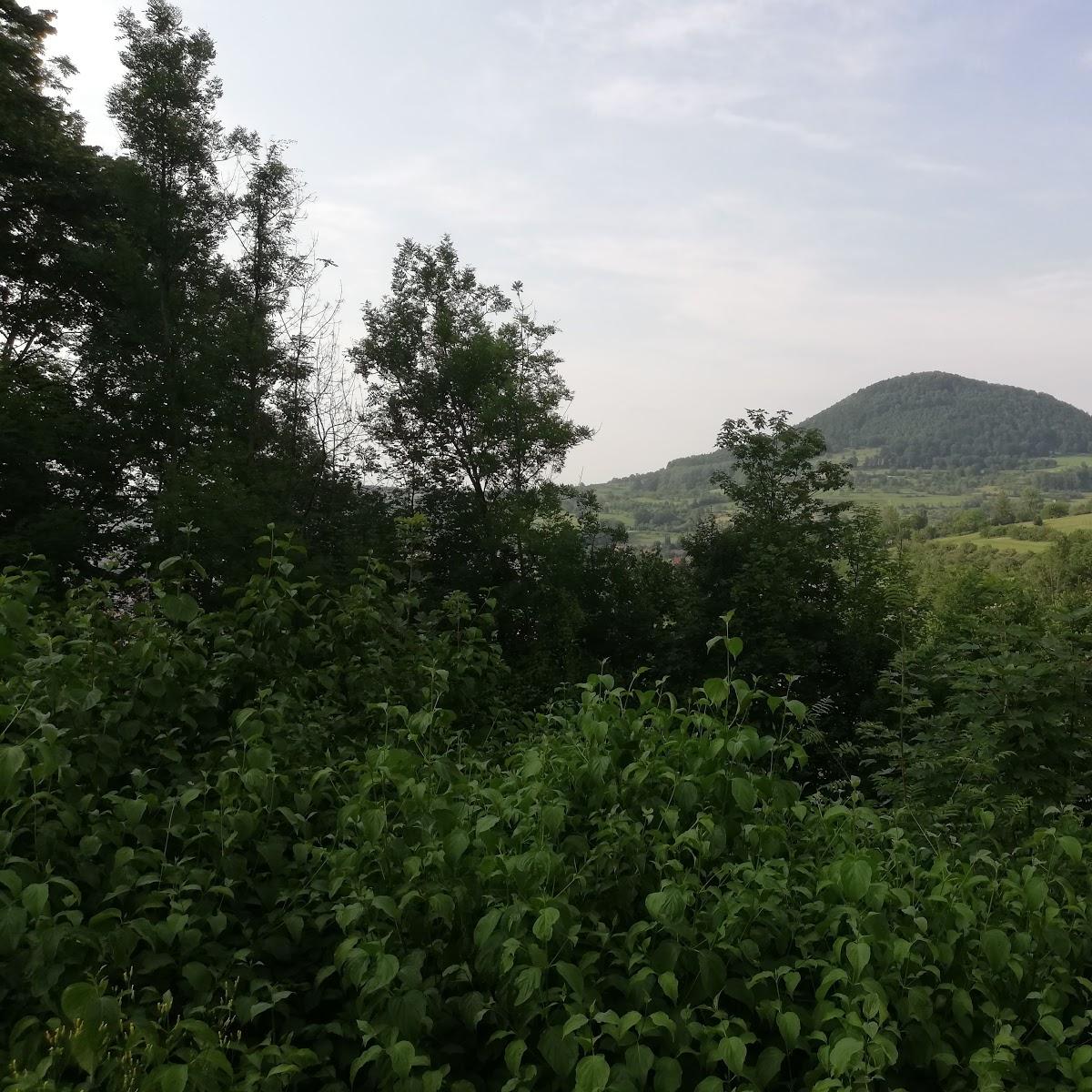 Restaurant "Zur Traube" in Hohenstadt