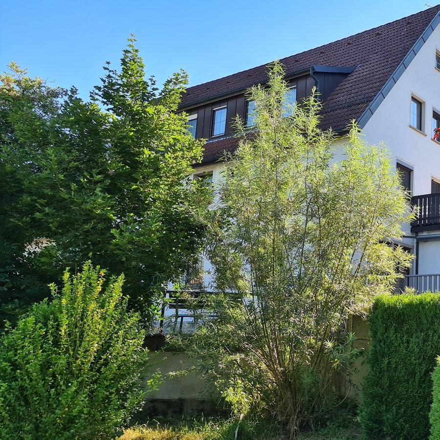 Restaurant "DIE KRONE AM FLUSS SINDRINGEN" in Forchtenberg