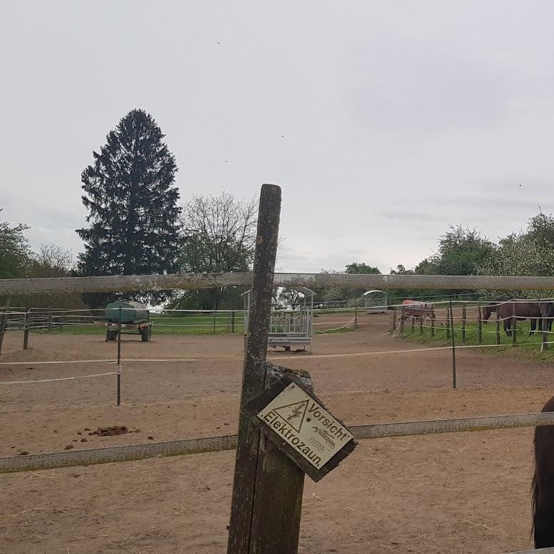 Restaurant "Hubertusklause" in Leimen