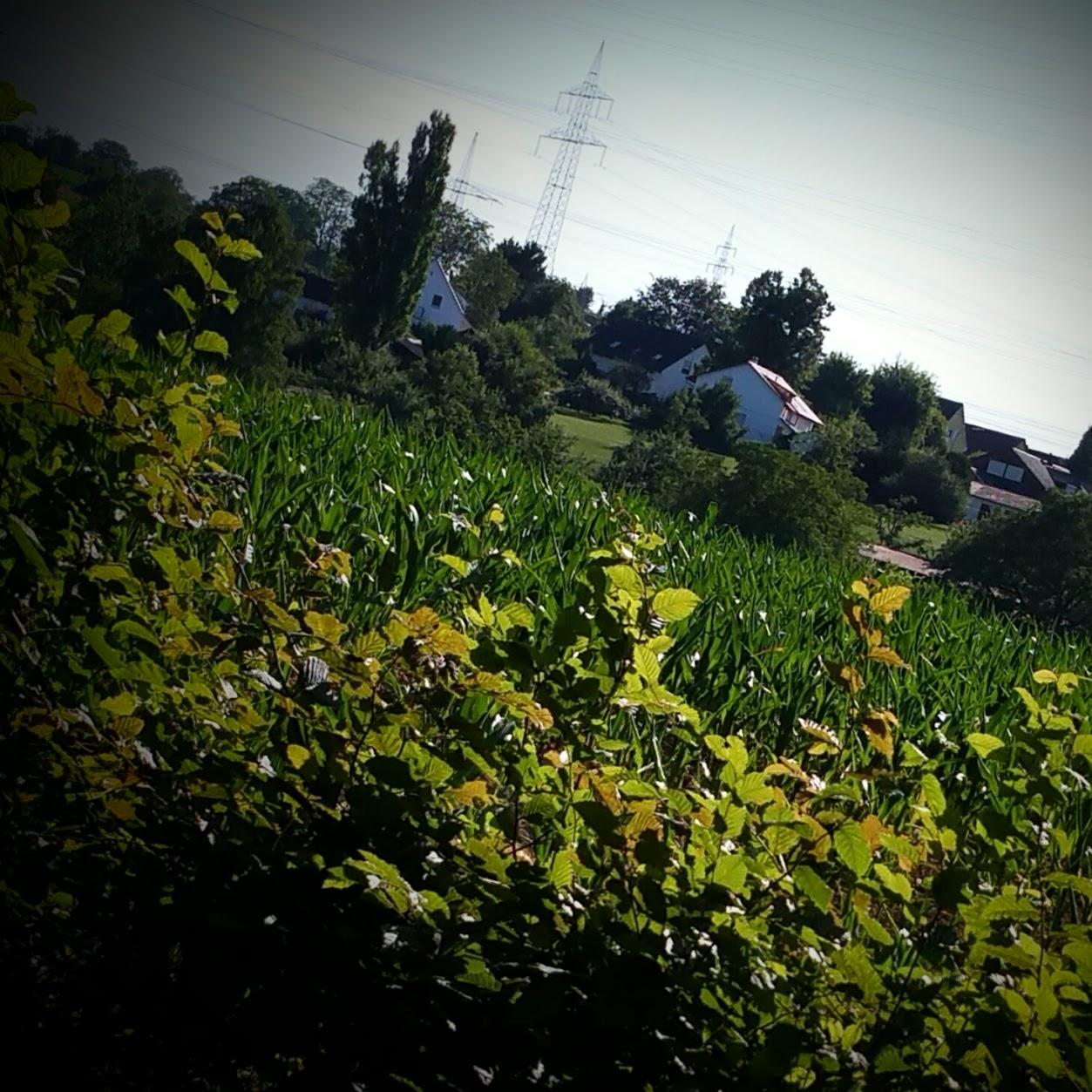 Restaurant "Zum Drei – Birkenhof" in Mühlacker