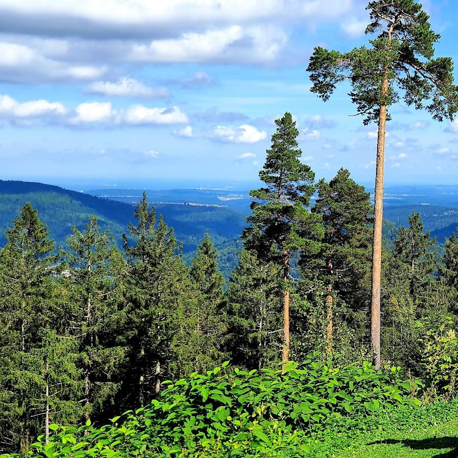 Restaurant "Hahnenfalzhütte" in Bad Herrenalb