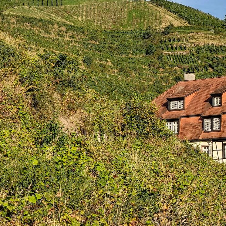 Restaurant "HOTEL Schloss Neuweier" in Baden-Baden