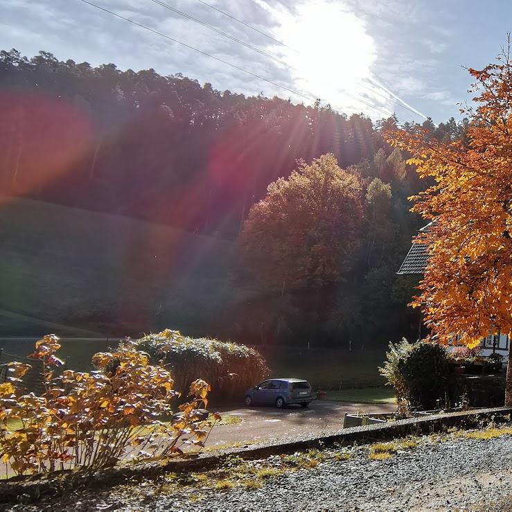 Restaurant "Blum Bauernhof" in Gutach (Schwarzwaldbahn)