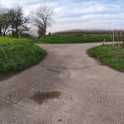 Restaurant "Gasthaus Heckenrose" in Ringsheim