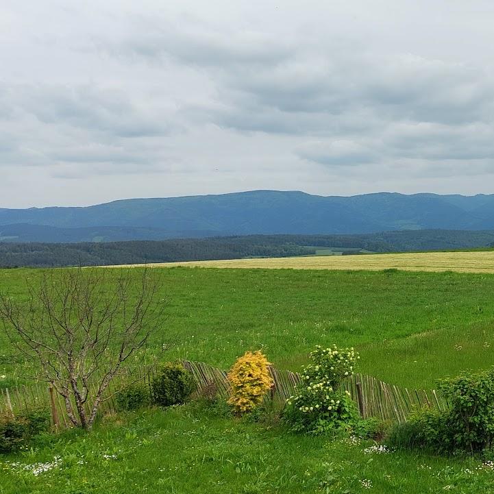 Restaurant "Restaurant zum Kreuz" in Biederbach